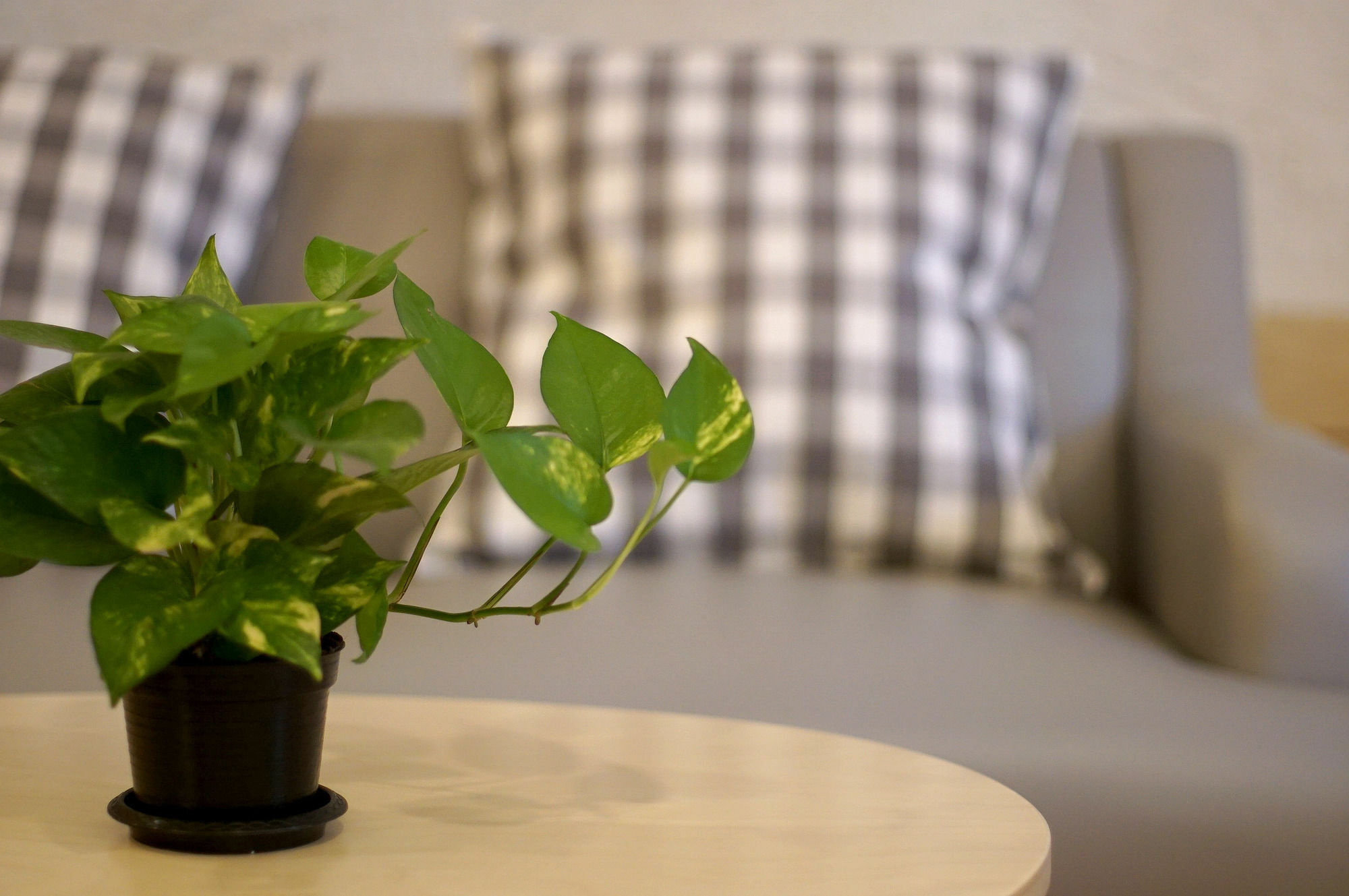 Benri Sriracha Residence Si Racha Ngoại thất bức ảnh